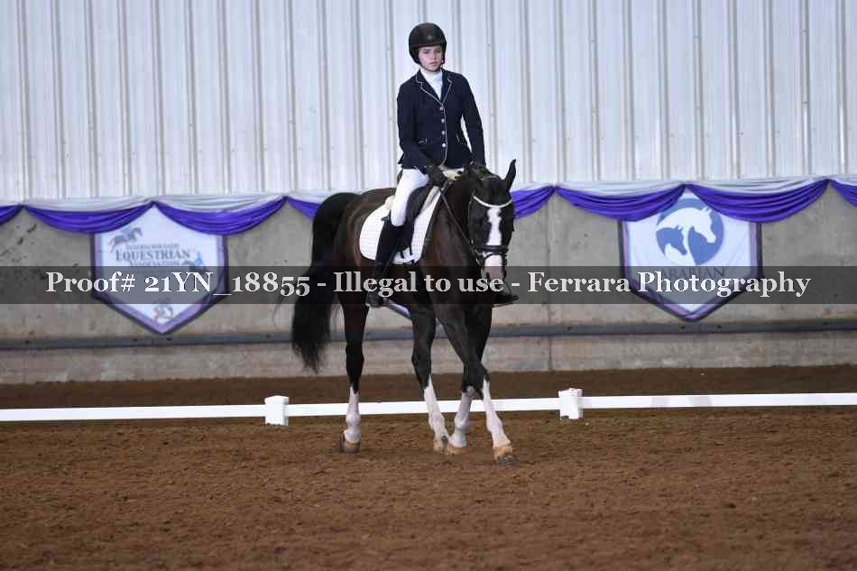 Proof Number 21YN_18855