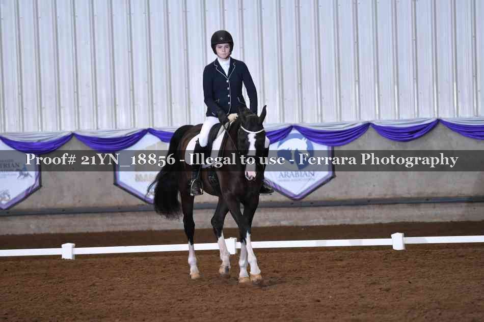 Proof Number 21YN_18856