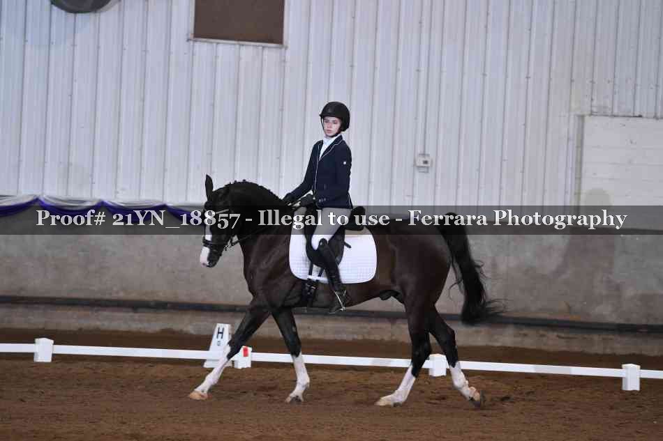 Proof Number 21YN_18857