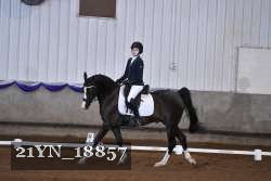 21YN_18857 thumbnail