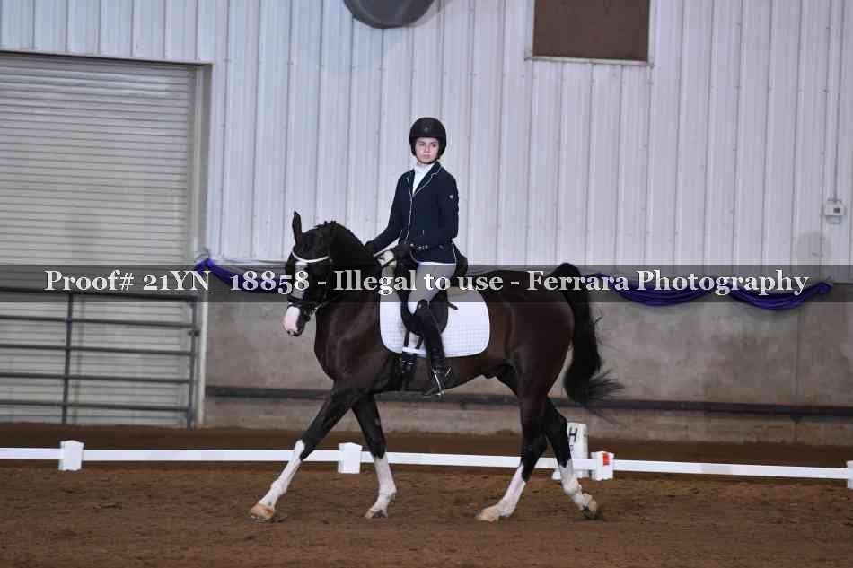 Proof Number 21YN_18858
