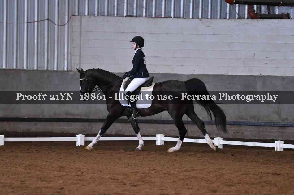 Proof Number 21YN_18861