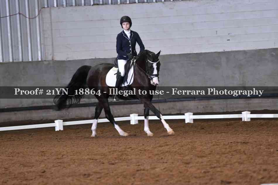 Proof Number 21YN_18864