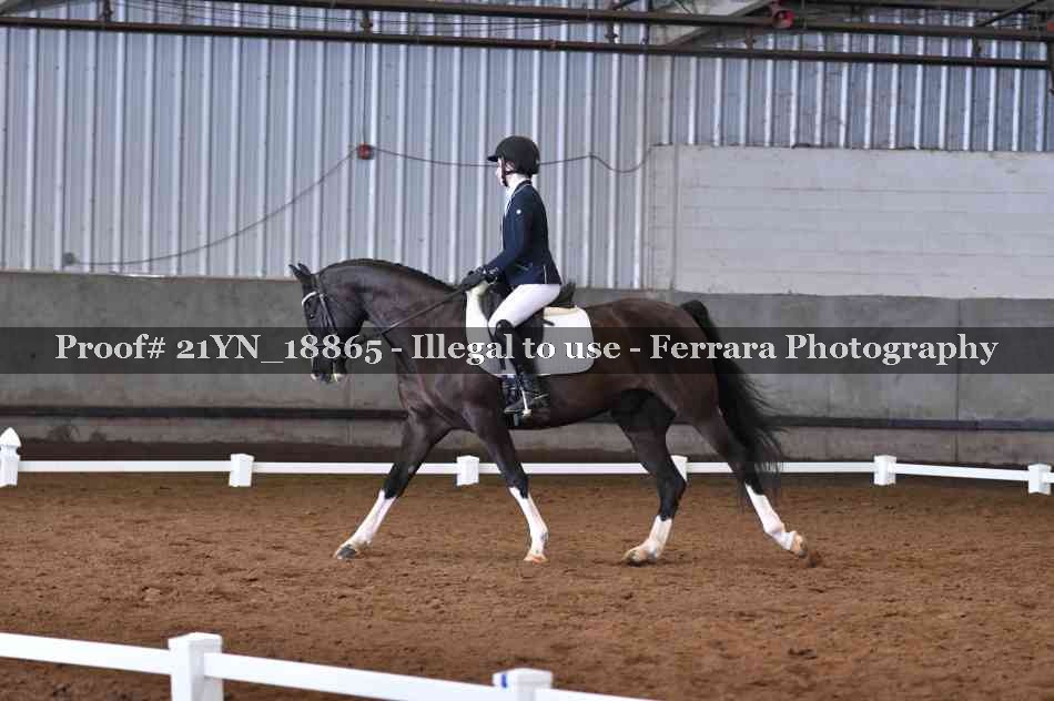 Proof Number 21YN_18865