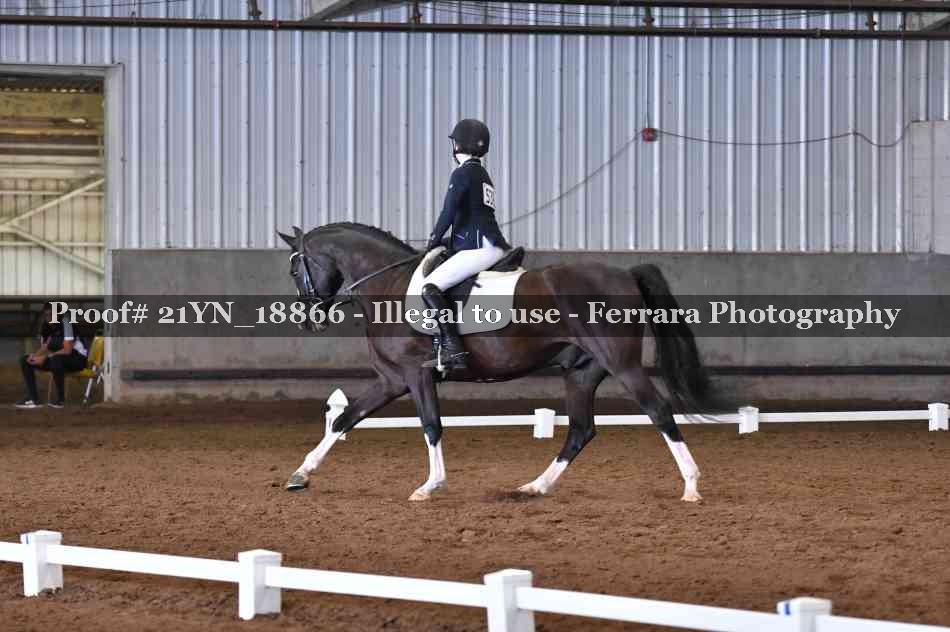 Proof Number 21YN_18866