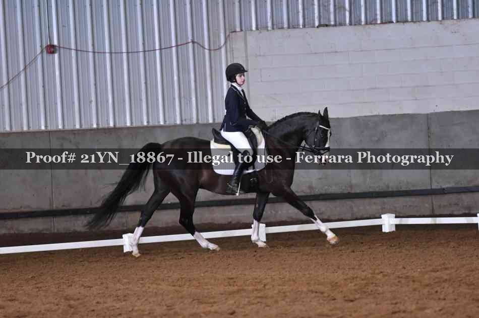 Proof Number 21YN_18867