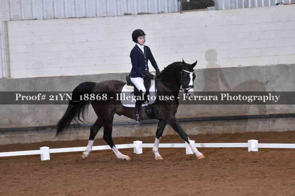 Proof Number 21YN_18868