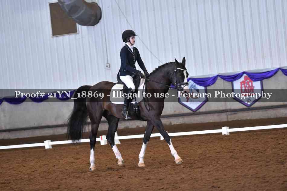 Proof Number 21YN_18869