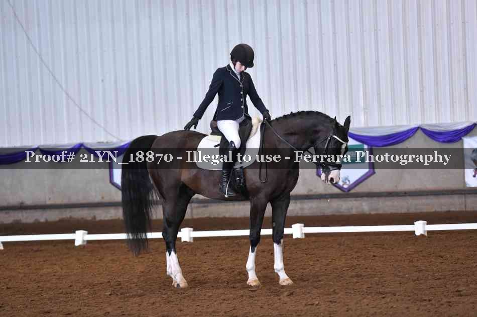 Proof Number 21YN_18870