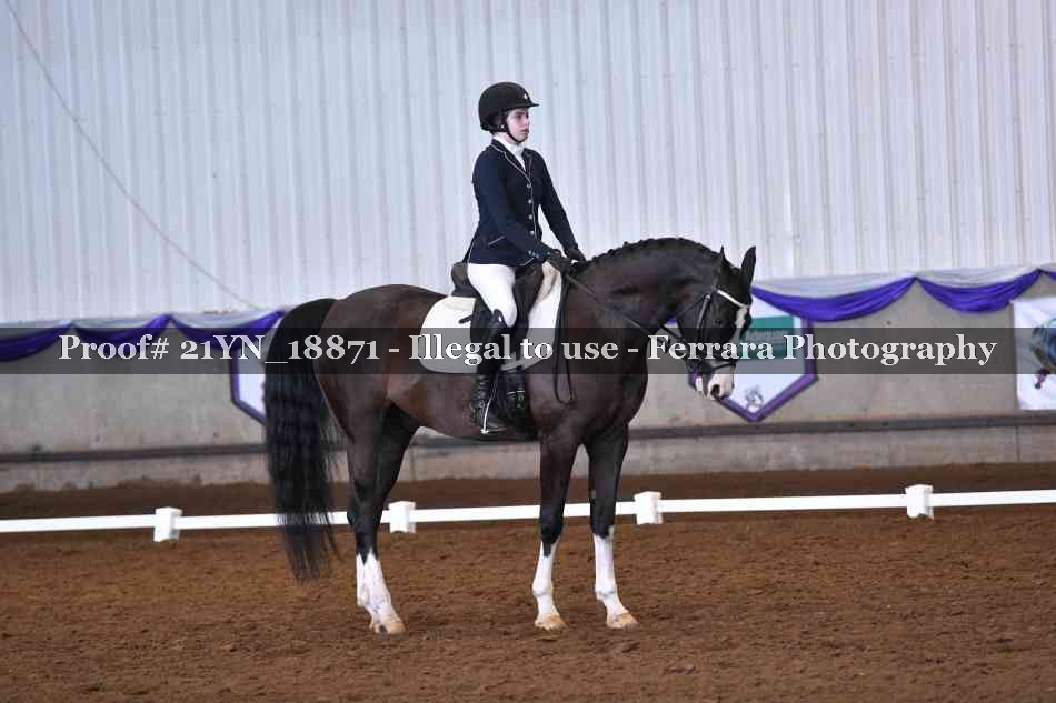 Proof Number 21YN_18871