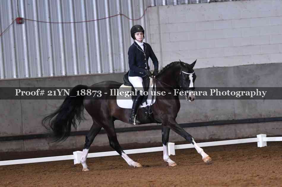 Proof Number 21YN_18873
