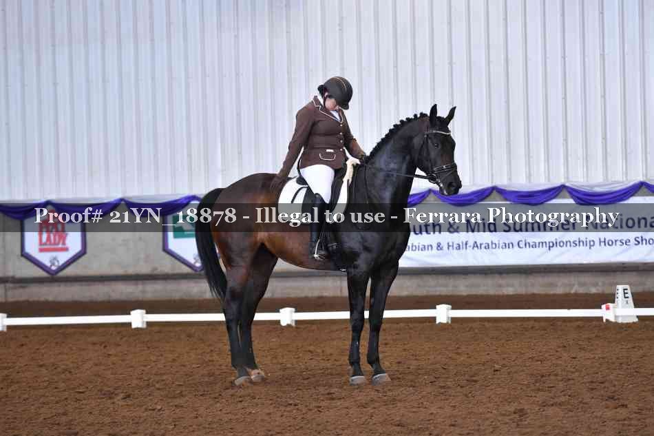 Proof Number 21YN_18878