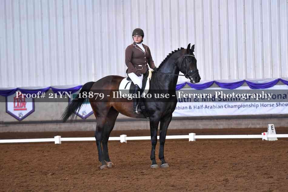 Proof Number 21YN_18879