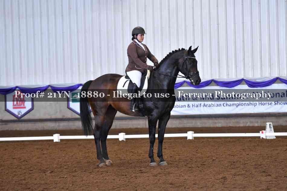 Proof Number 21YN_18880