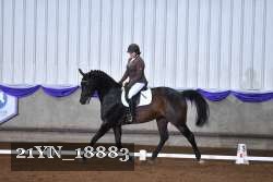 21YN_18883 thumbnail