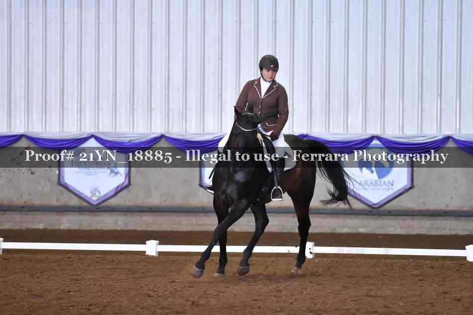 Proof Number 21YN_18885