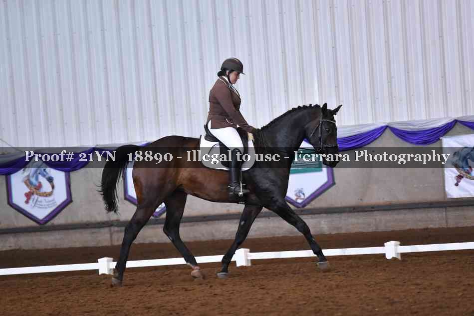 Proof Number 21YN_18890