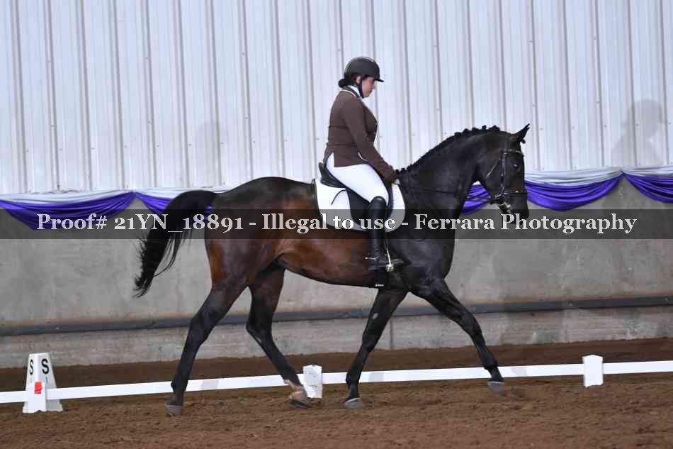 Proof Number 21YN_18891