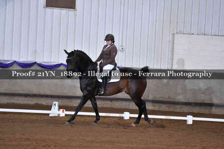 Proof Number 21YN_18892