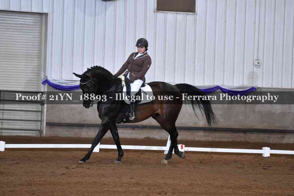 Proof Number 21YN_18893