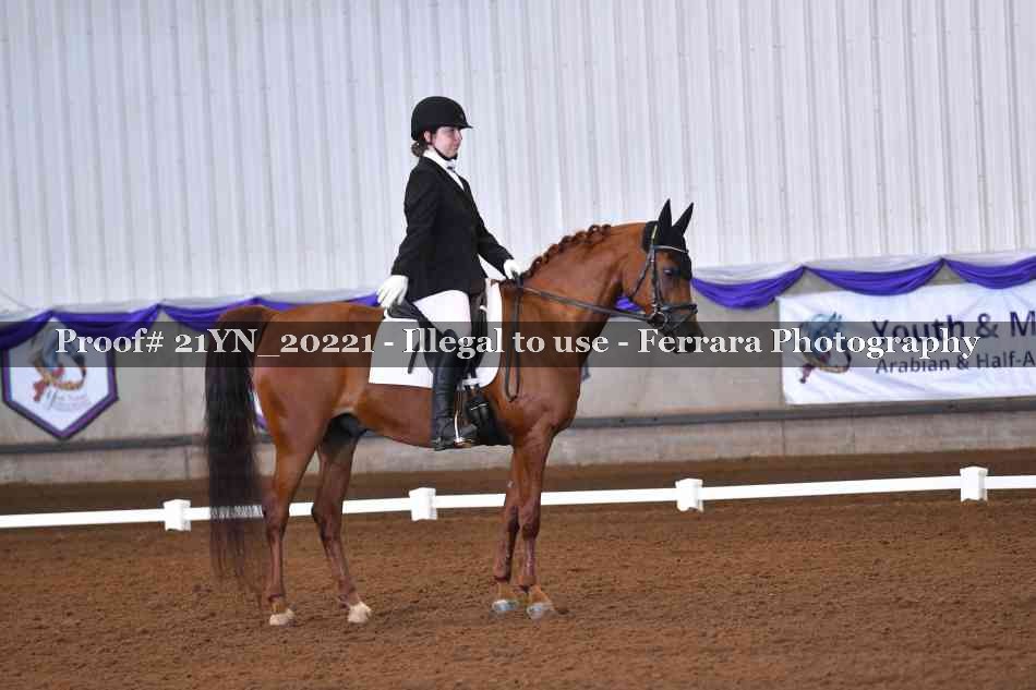 Proof Number 21YN_20221
