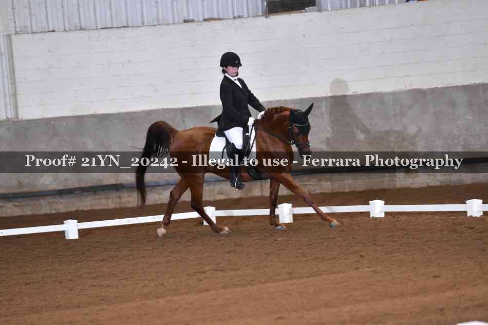 Proof Number 21YN_20242