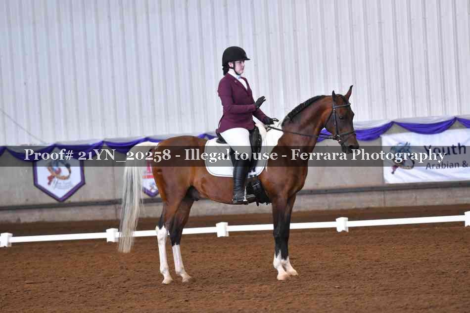 Proof Number 21YN_20258