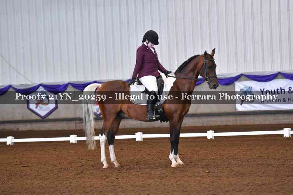 Proof Number 21YN_20259