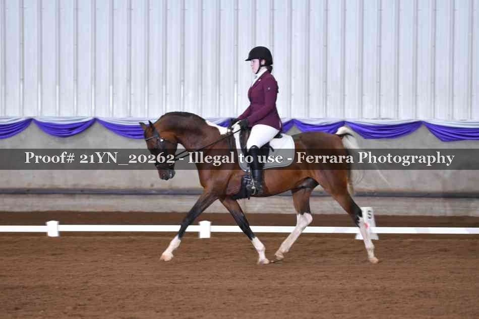 Proof Number 21YN_20262