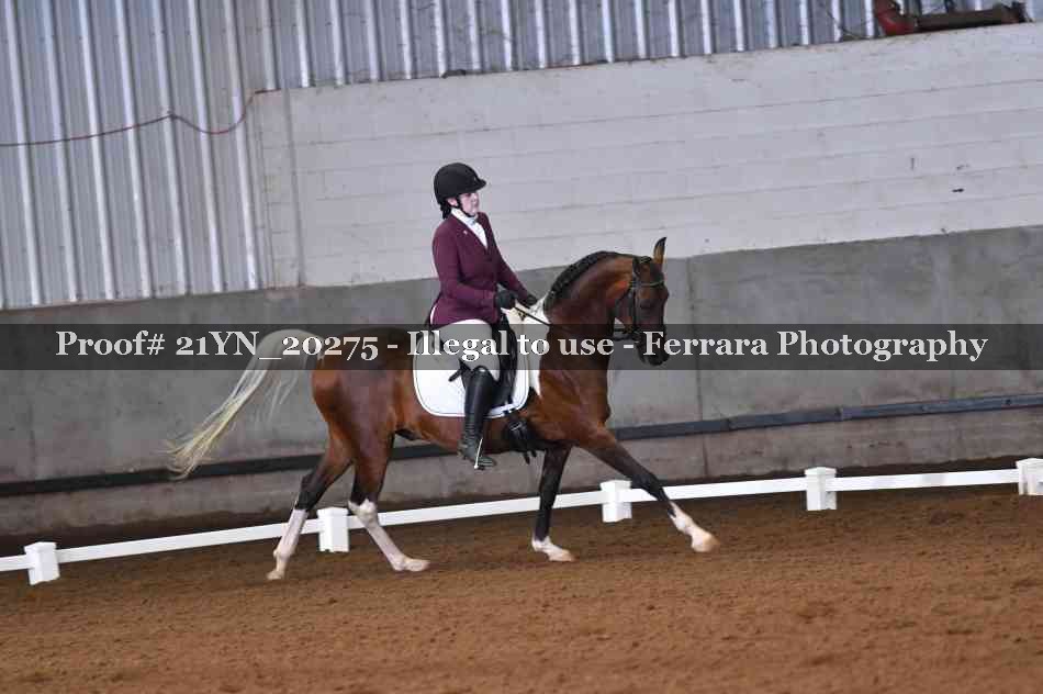 Proof Number 21YN_20275