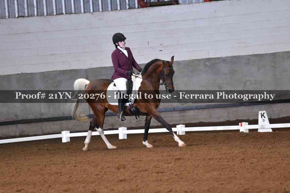 Proof Number 21YN_20276