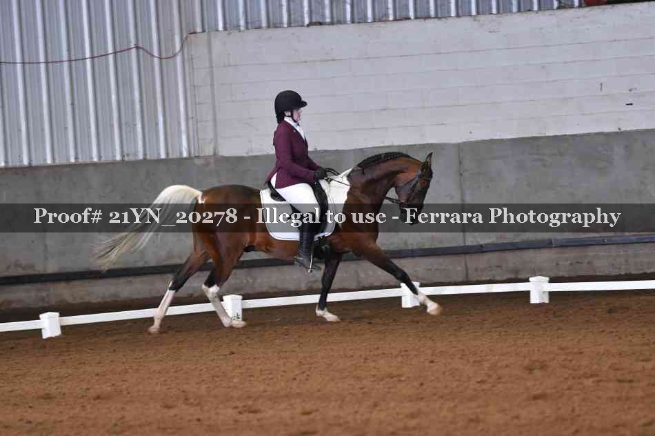 Proof Number 21YN_20278