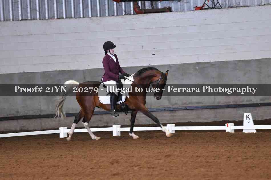 Proof Number 21YN_20279