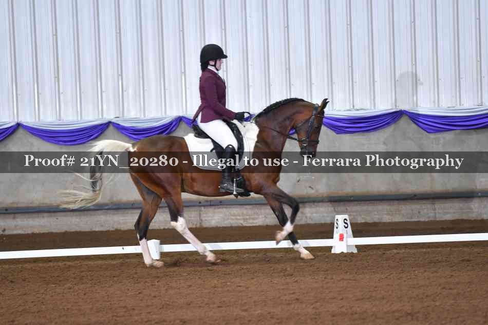 Proof Number 21YN_20280