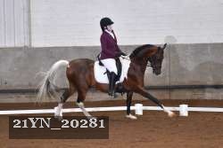 21YN_20281 thumbnail