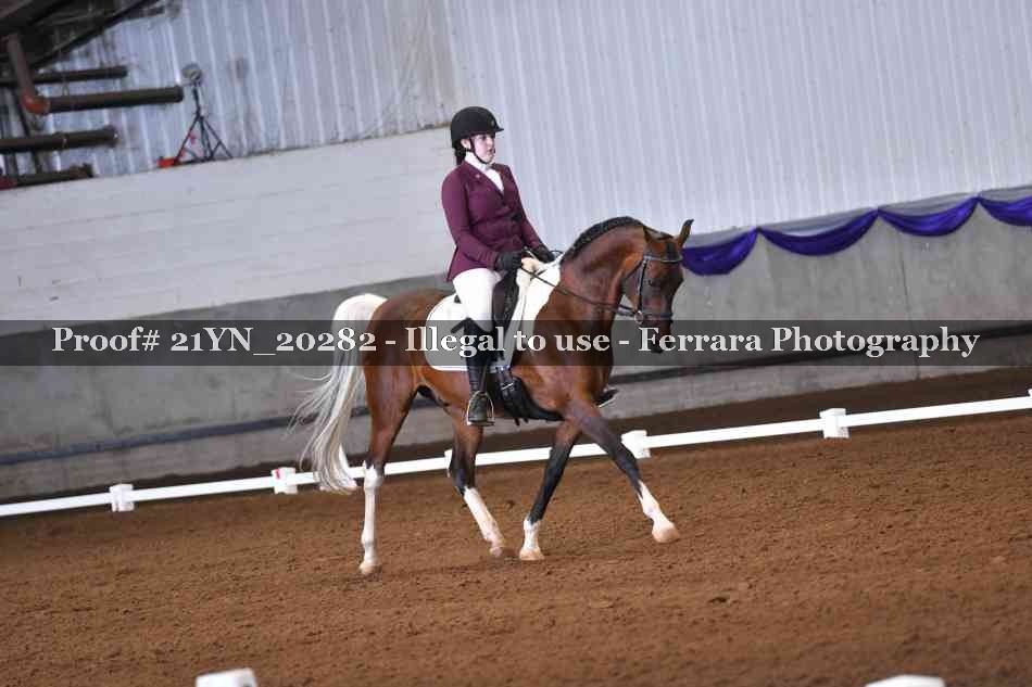 Proof Number 21YN_20282