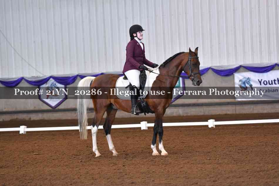 Proof Number 21YN_20286