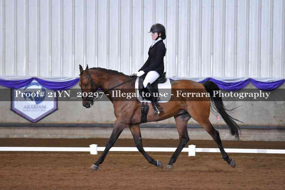 Proof Number 21YN_20297