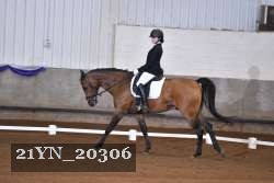 21YN_20306 thumbnail