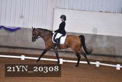 21YN_20308 thumbnail