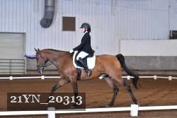 21YN_20313 thumbnail