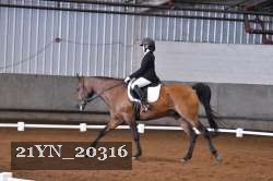 21YN_20316 thumbnail