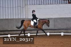 21YN_20317 thumbnail