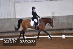 21YN_20320 thumbnail