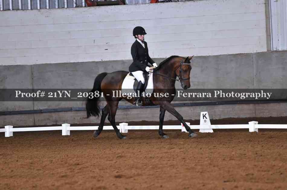 Proof Number 21YN_20381