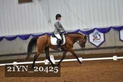 21YN_20425 thumbnail