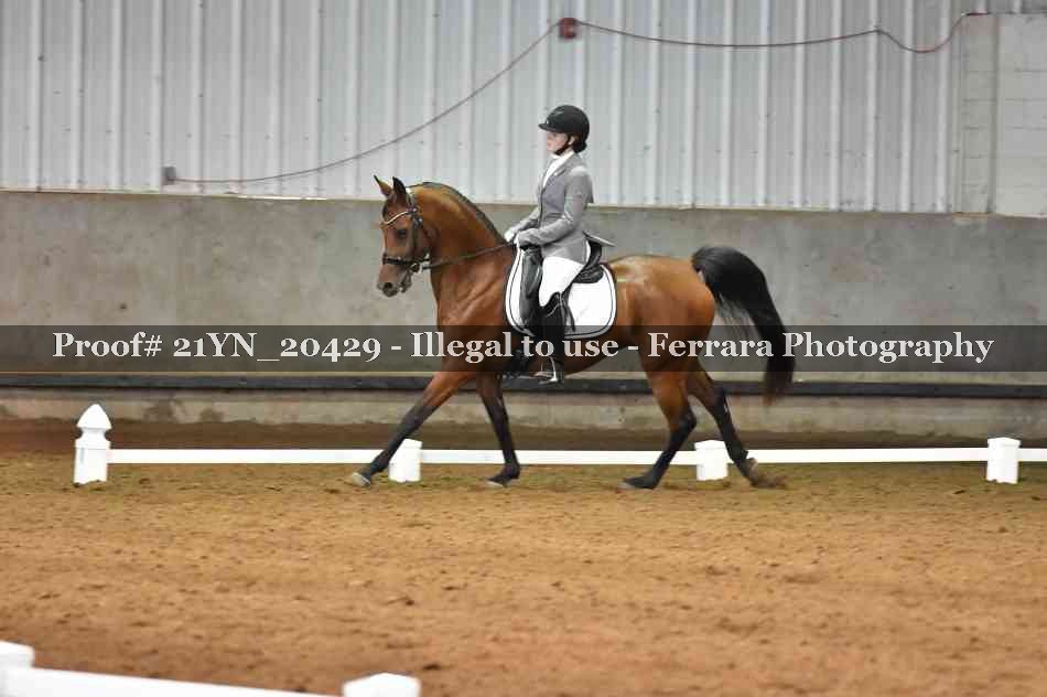 Proof Number 21YN_20429