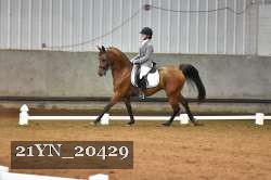 21YN_20429 thumbnail