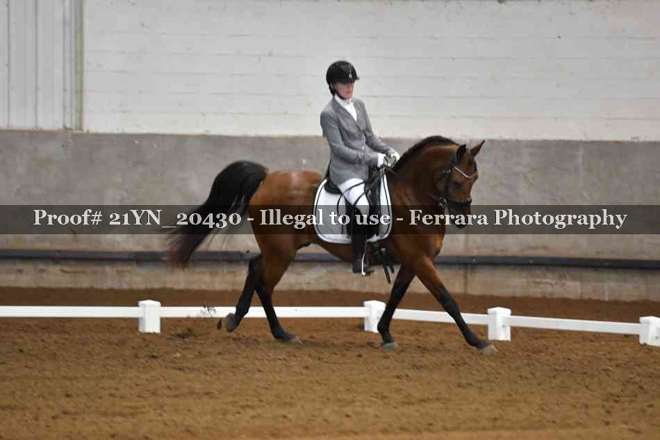 Proof Number 21YN_20430
