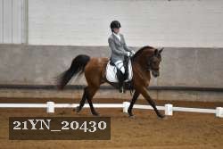 21YN_20430 thumbnail